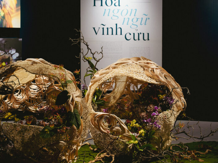 The Quintessence of Bloom: An Exclusive Journey into Elite Vietnamese Artistry